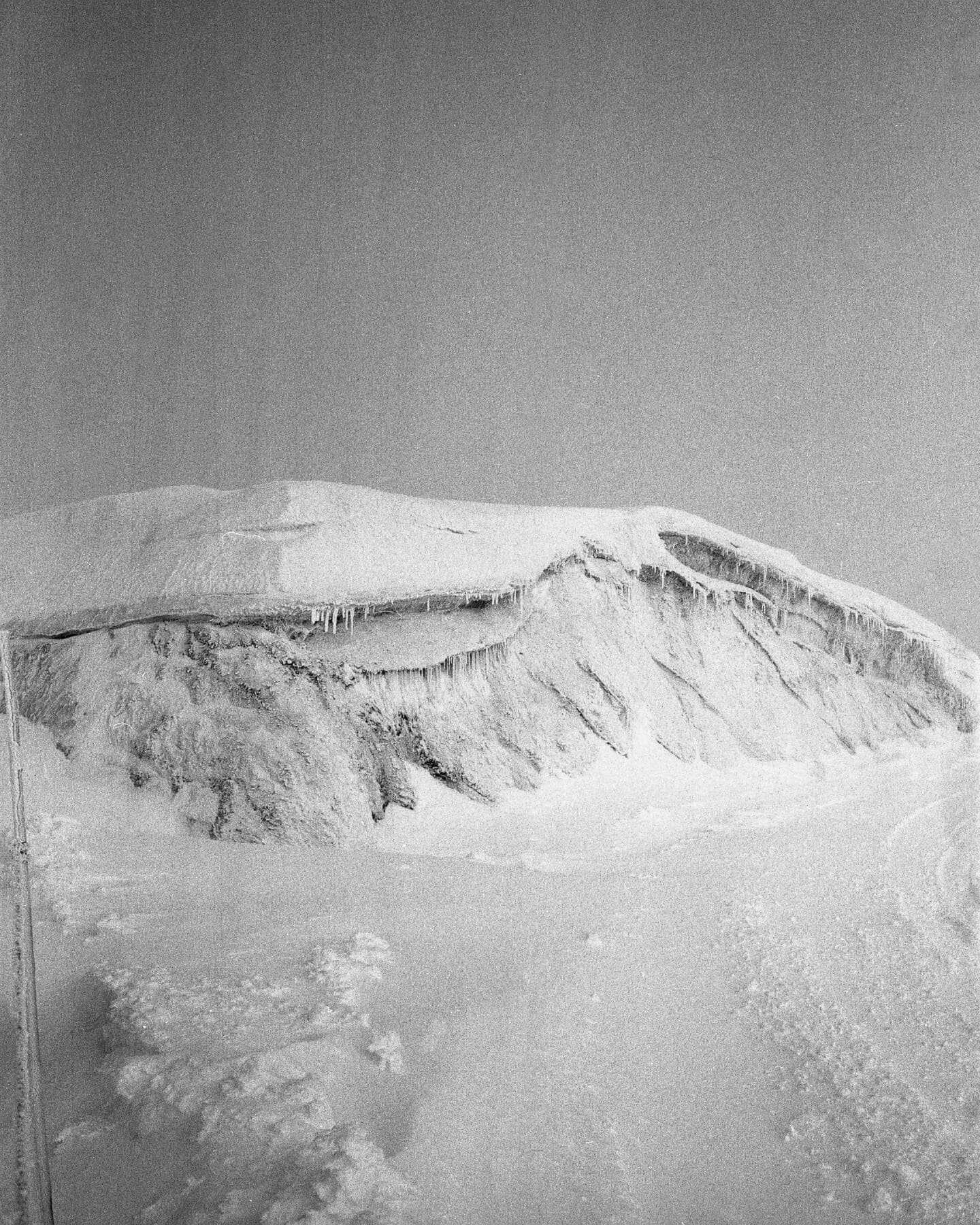 src manifesto 4 5 05